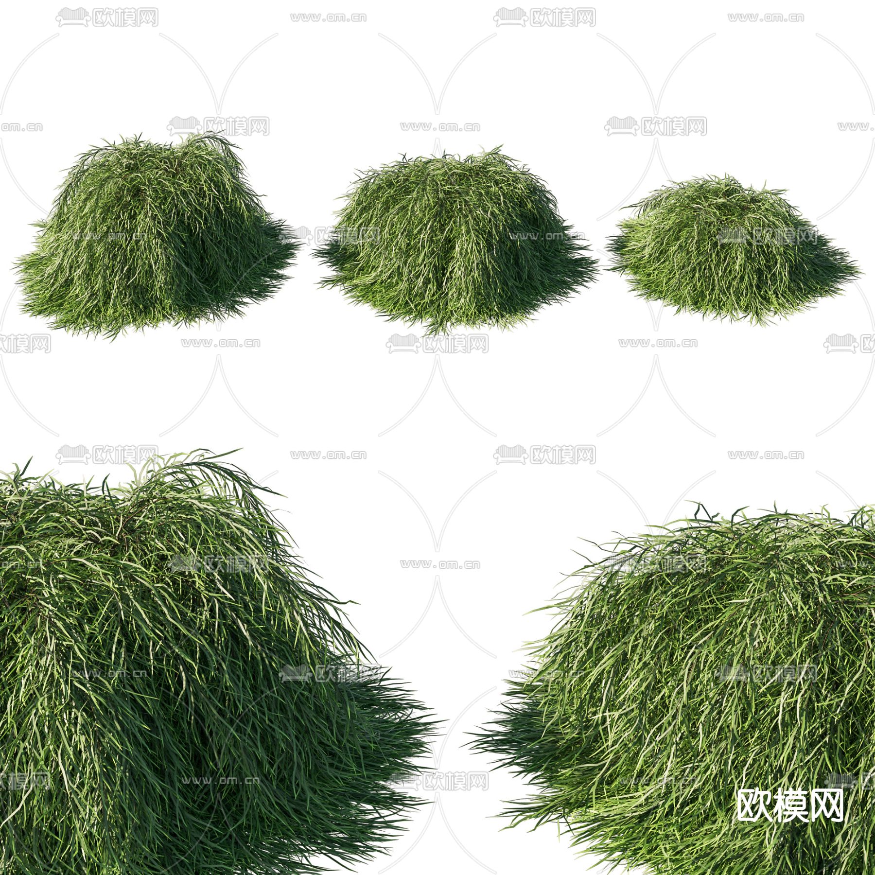 灌木植物 树篱草堆su模型下载（渲染图1）