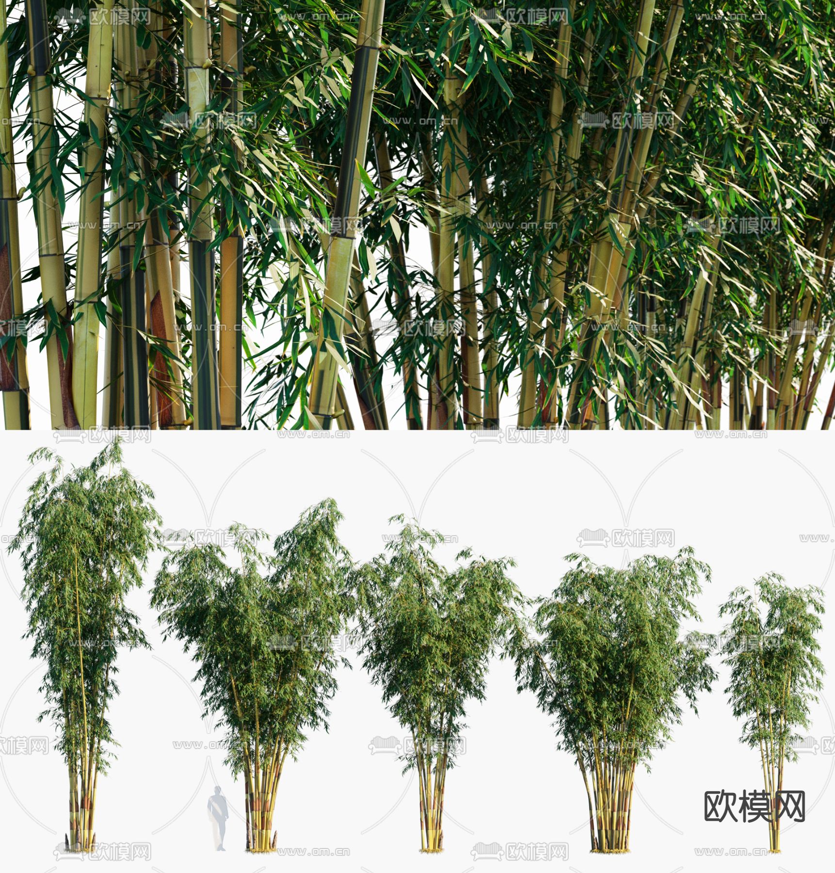 竹子3d模型下载