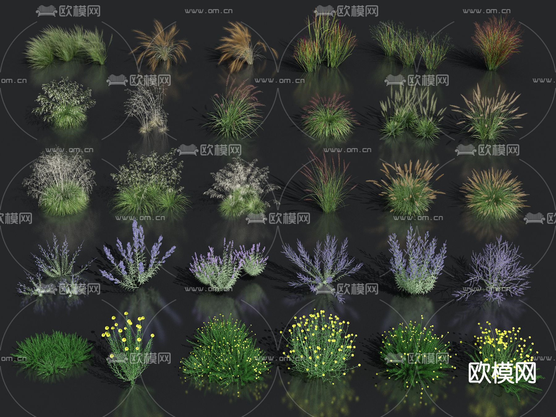花圃芦苇 狗尾草 花草su模型下载（渲染图1）