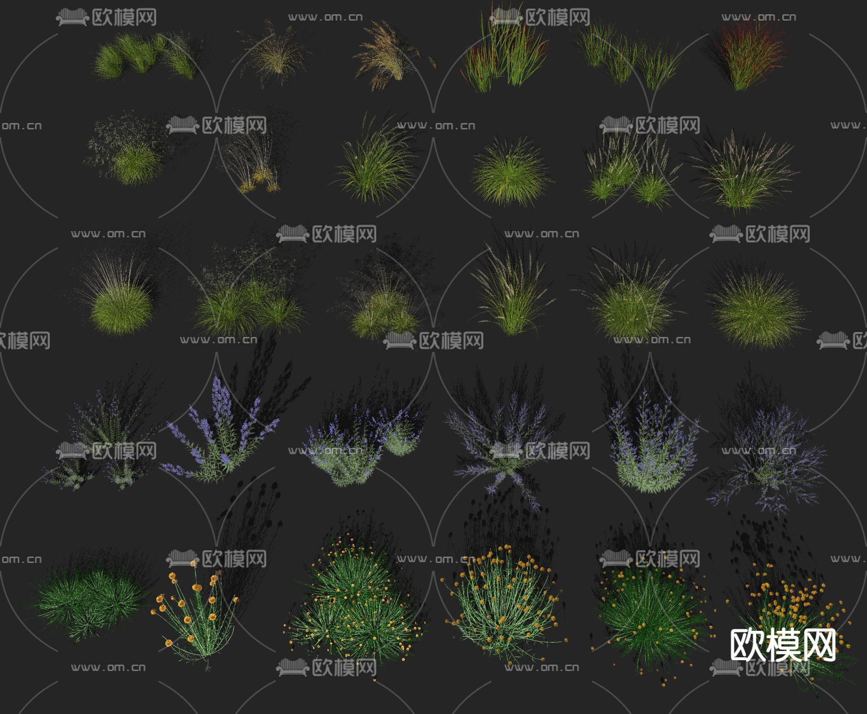 花圃芦苇 狗尾草 花草su模型下载（渲染图2）