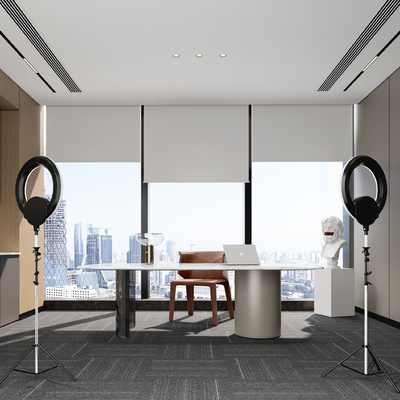  商务直播间su模型 