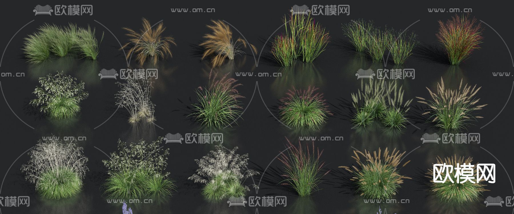 芦苇狗尾草花草su模型下载（渲染图1）