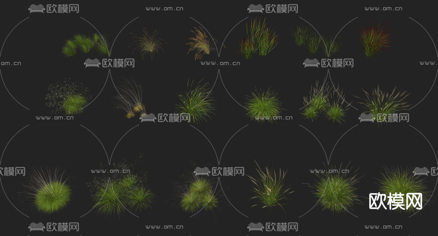芦苇狗尾草花草su模型下载（渲染图2）