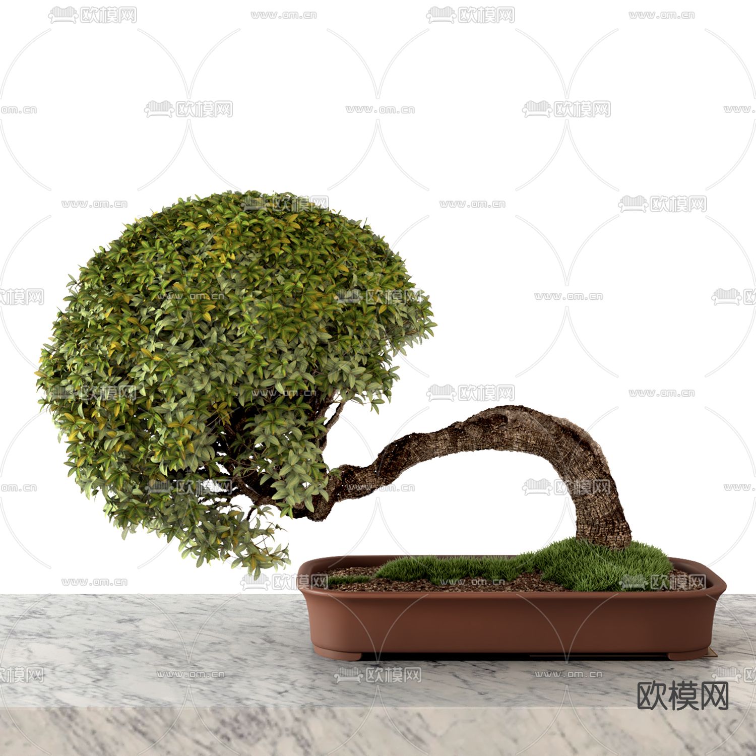 新中式盆栽 盆景 松柏3d模型下载_ID14067216_3dmax免费模型-欧模网