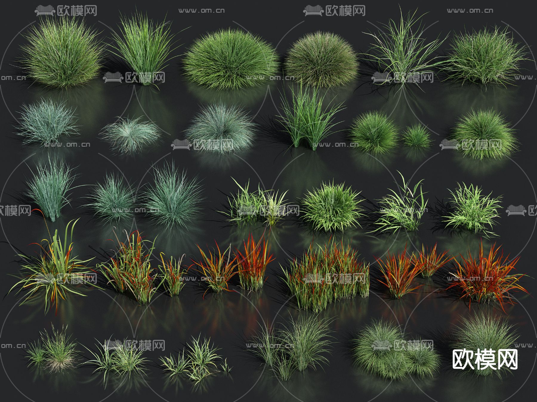 花草 草丛 草堆su模型下载（渲染图1）