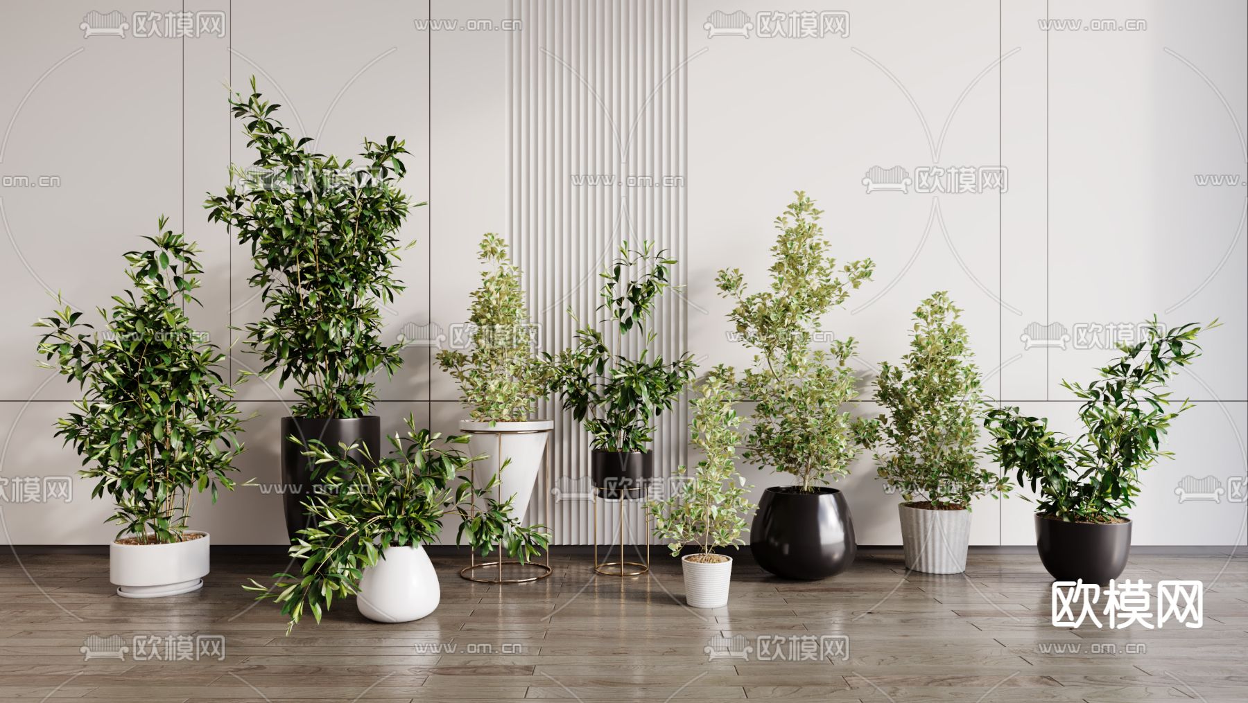 盆栽 盆景3d模型下载_ID14068761_3dmax免费模型-欧模网