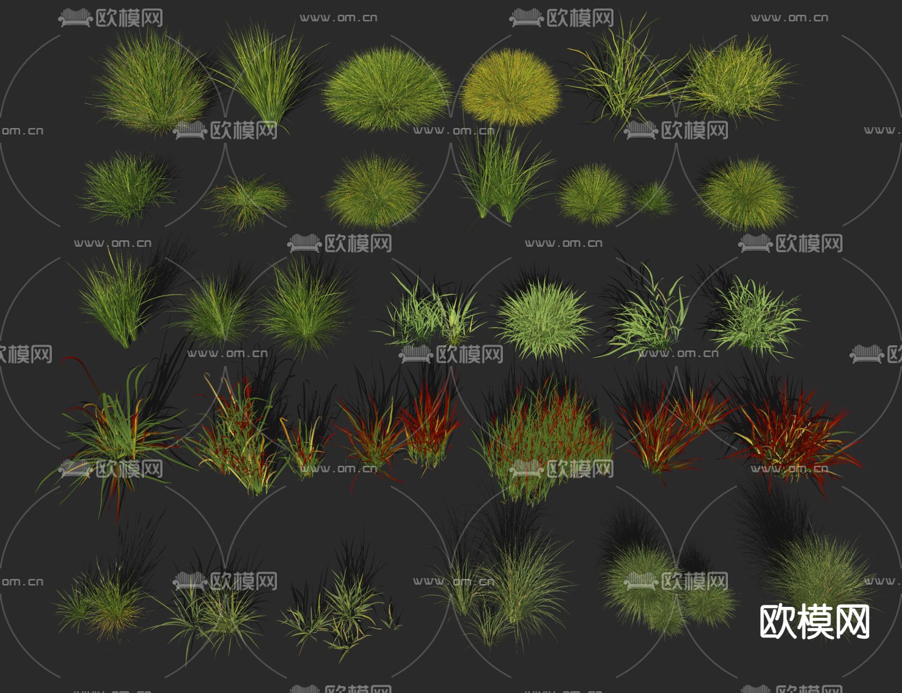 花草 草丛 草堆su模型下载（渲染图2）