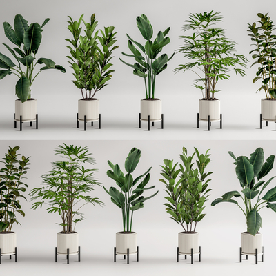 盆栽 盆景su模型