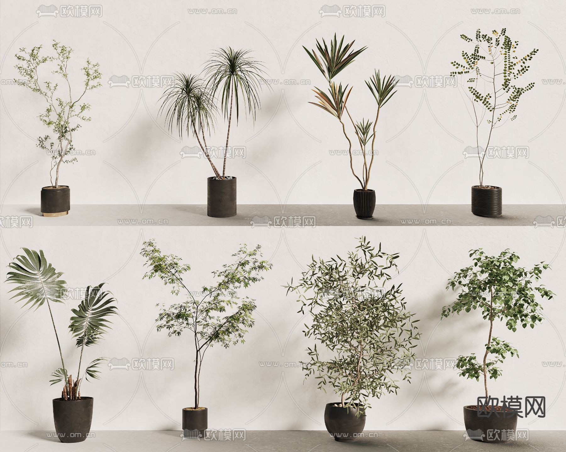 盆栽 盆景3d模型下载