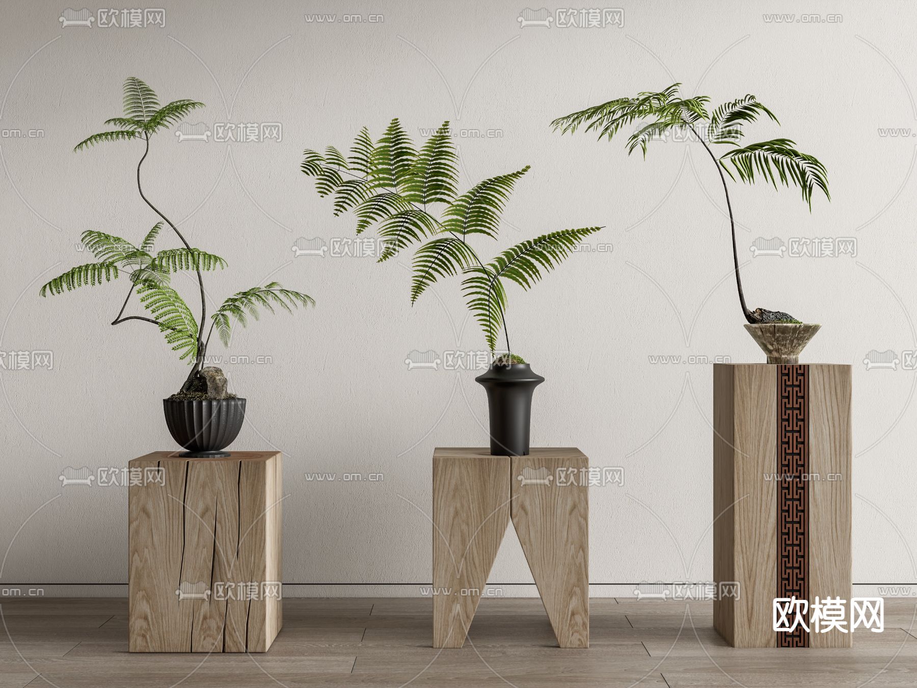 蕨类盆栽 盆景3d模型下载