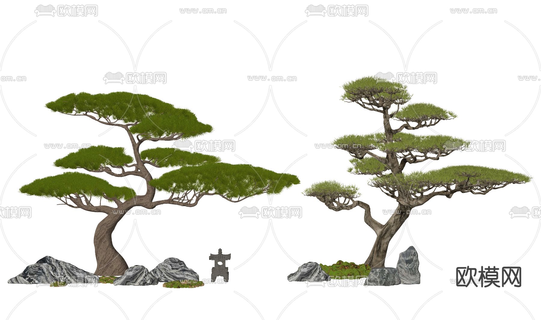新中式松树 罗汉松 迎客松su模型下载（渲染图2）