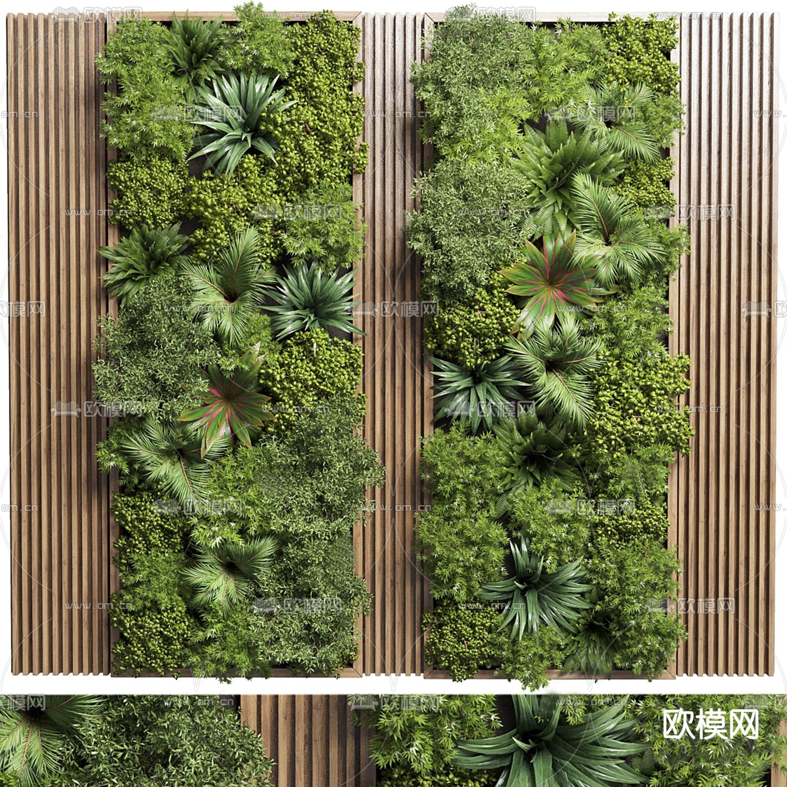 现代植物墙su模型下载（渲染图1）