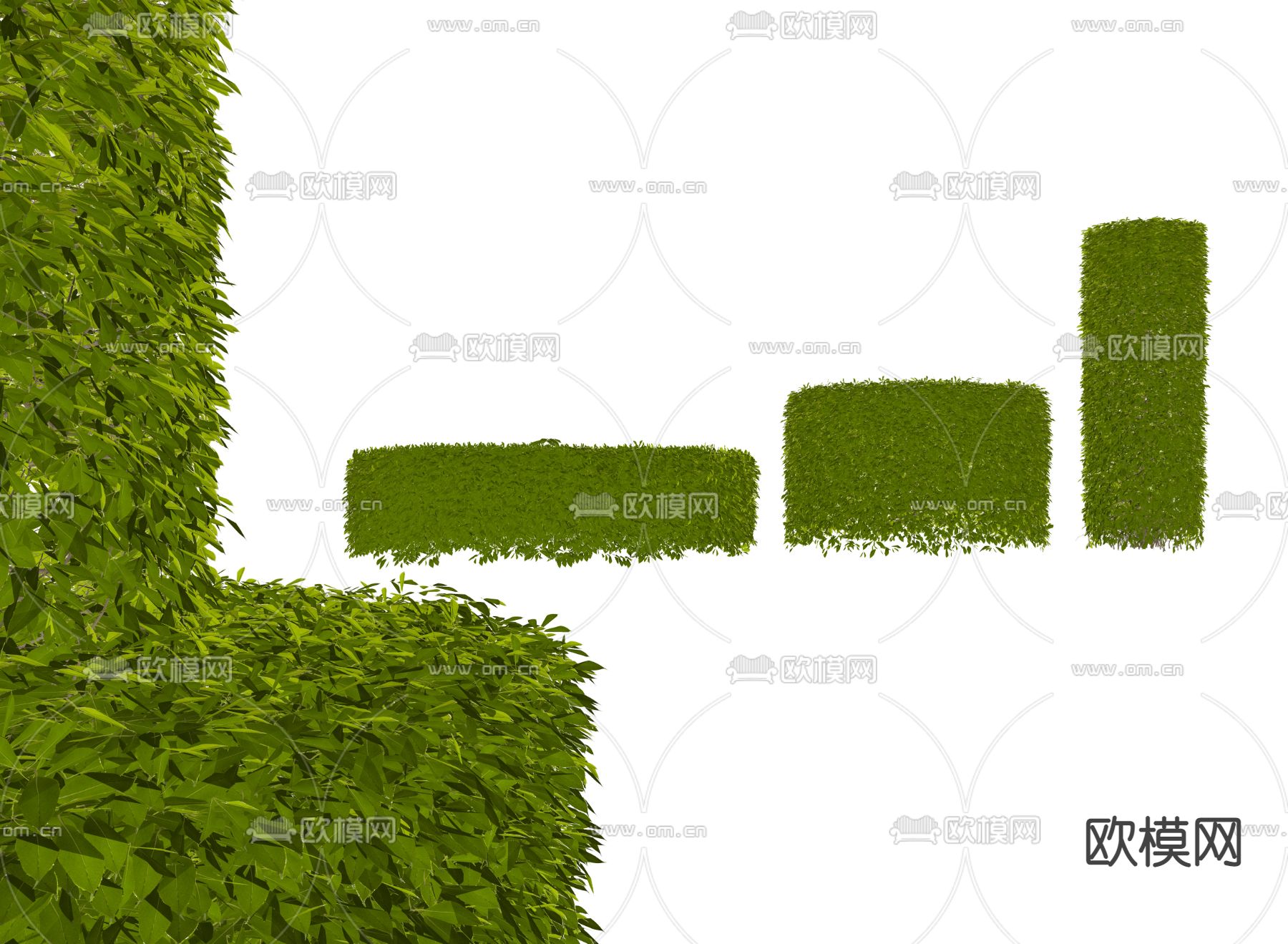 现代灌木su模型下载（渲染图2）
