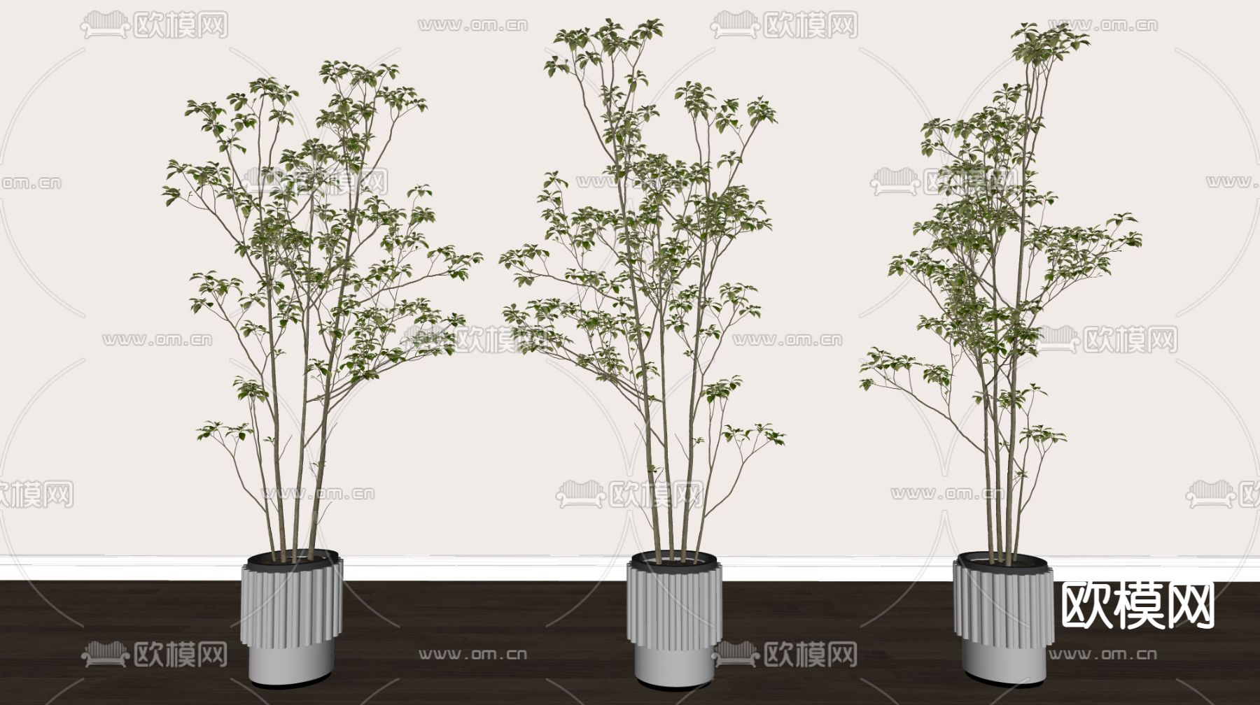 盆栽 盆景su模型下载（渲染图2）