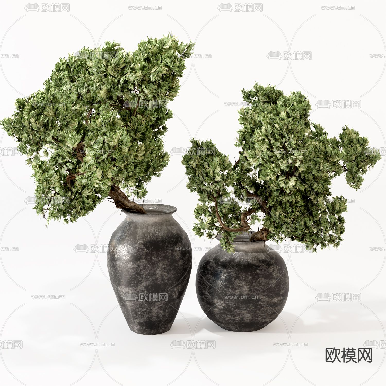 新中式盆栽 盆景3d模型下载