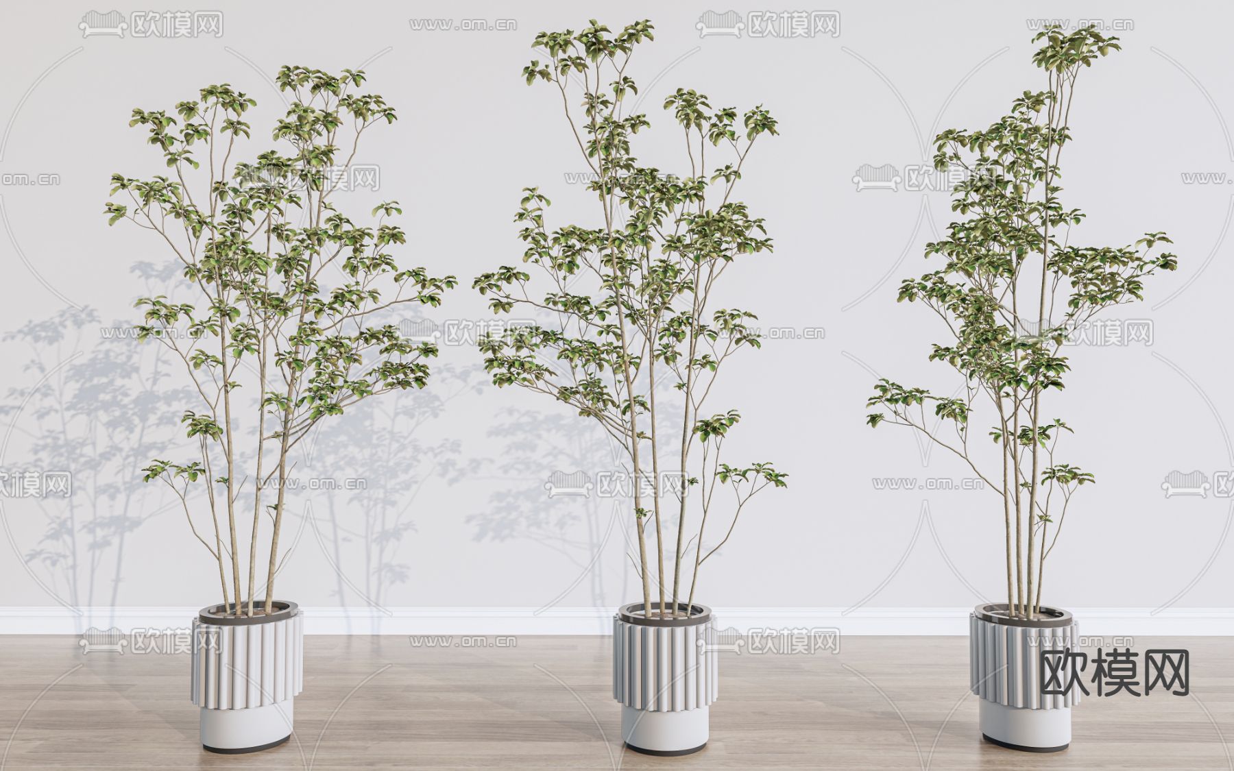 盆栽 盆景su模型下载（渲染图1）