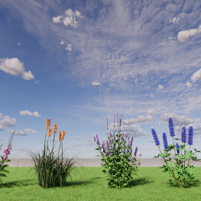  花草 灌木su模型 