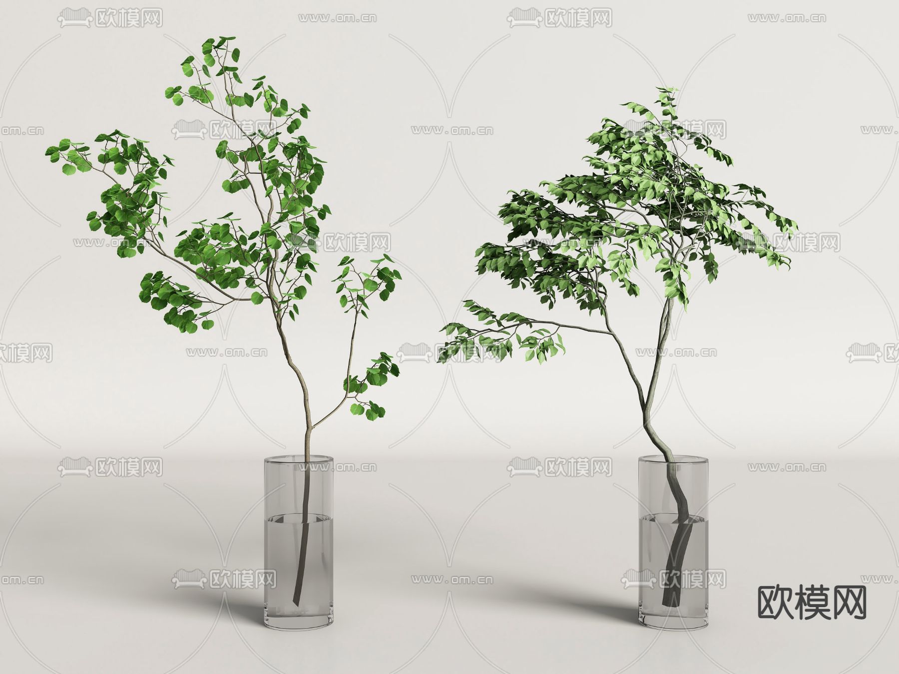 水培植物 水生绿植3d模型下载