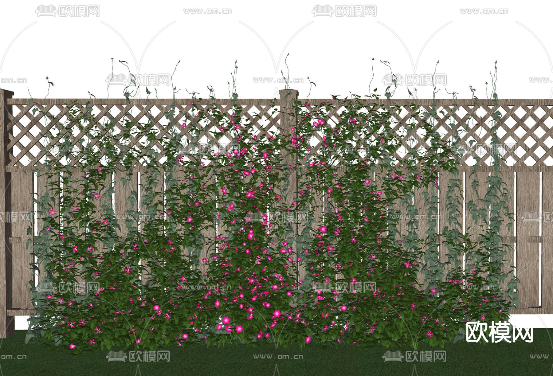 牵牛花藤 花架su模型下载（渲染图2）