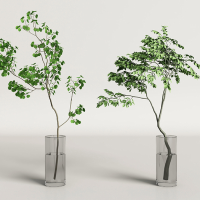  水培绿植花瓶 水生植物su模型 