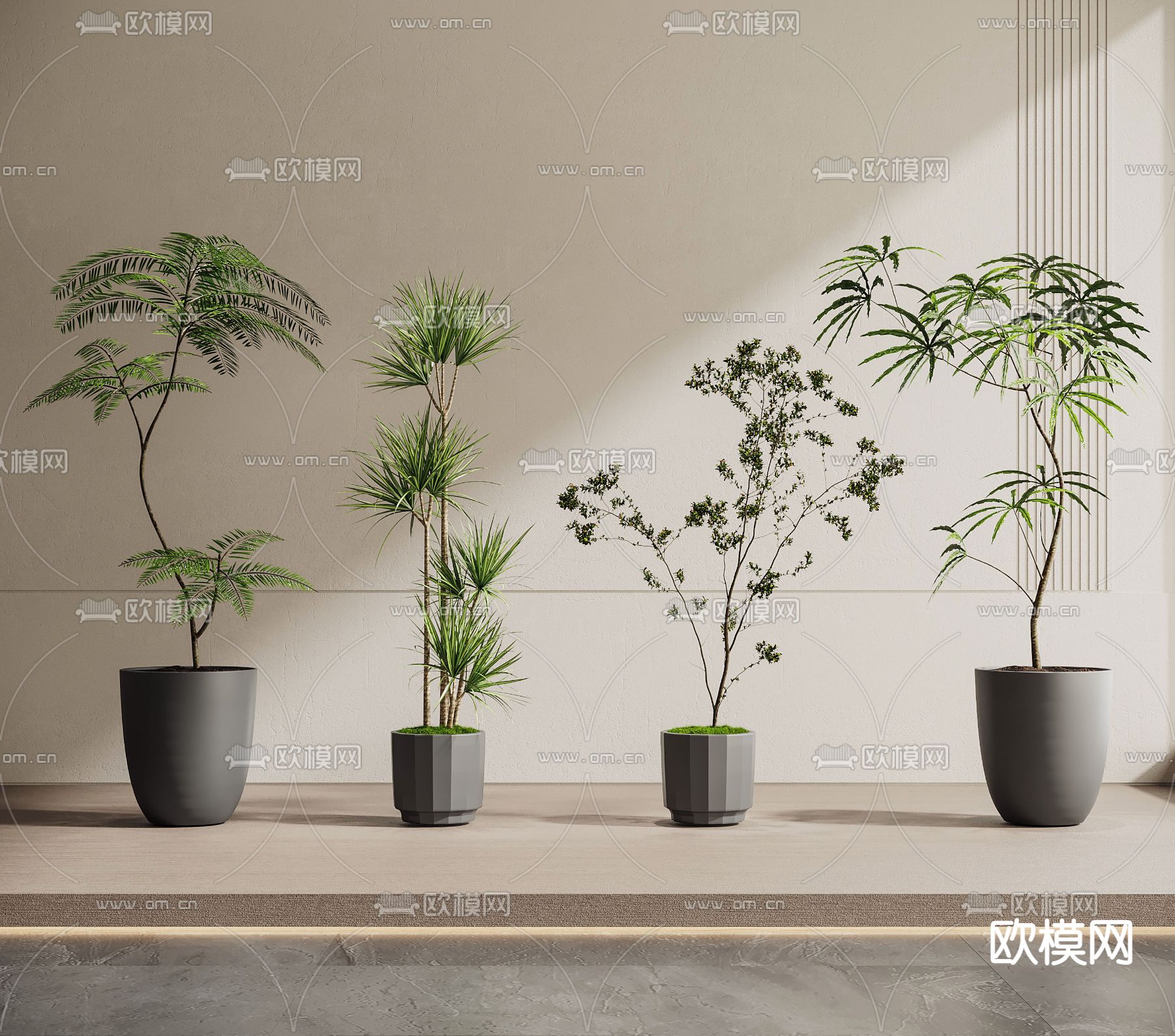 盆栽 盆景3d模型下载