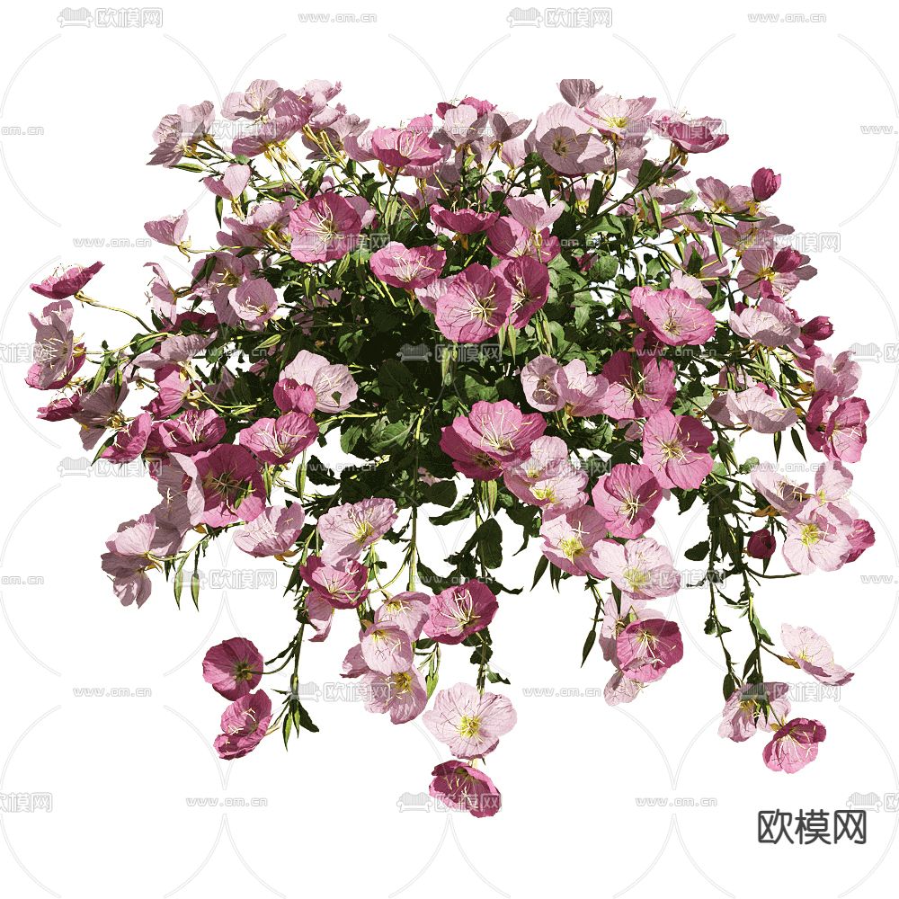 户外花草3d模型下载