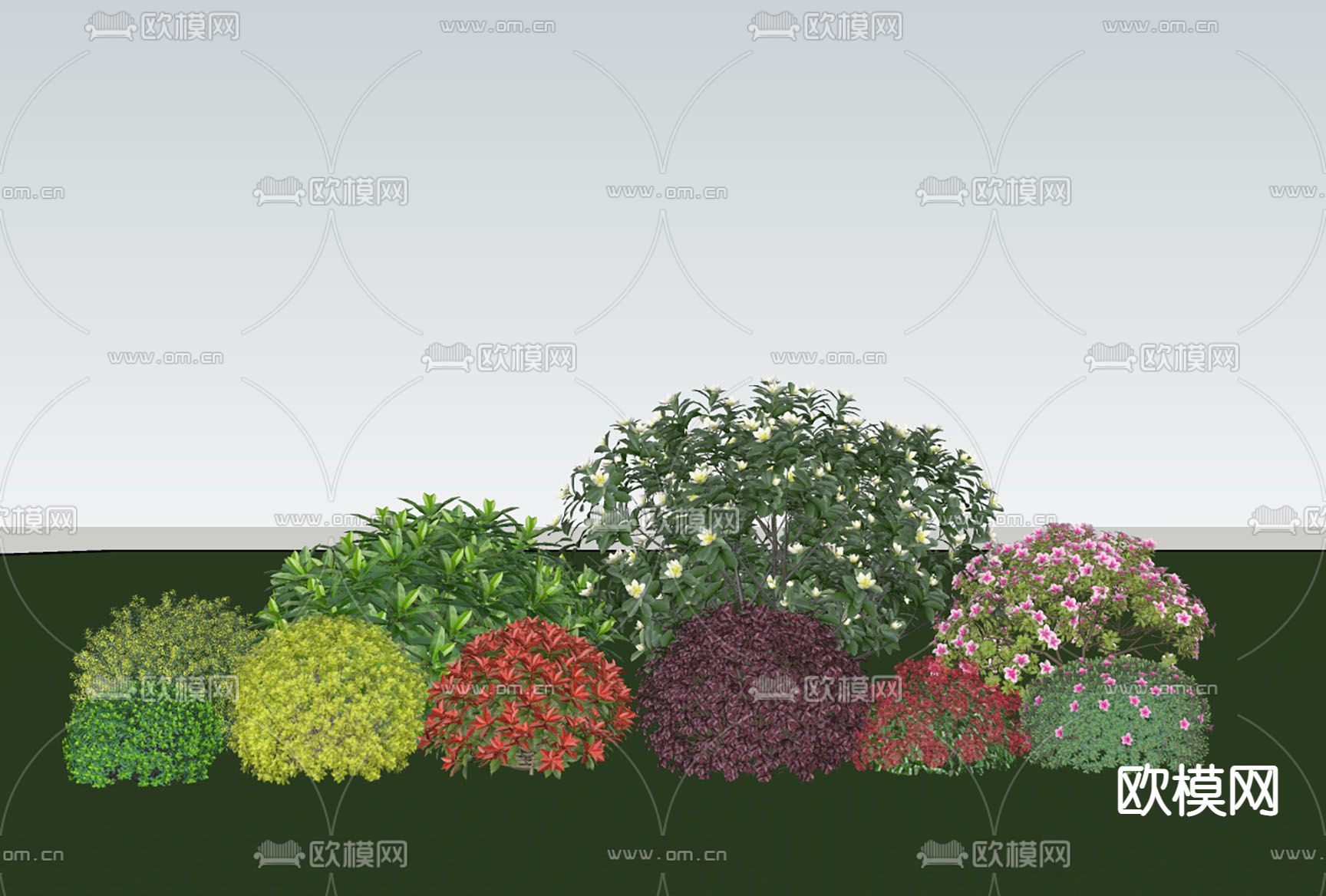 龟甲冬青  女贞 赤楠 杜鹃 灌木球su模型下载（渲染图2）