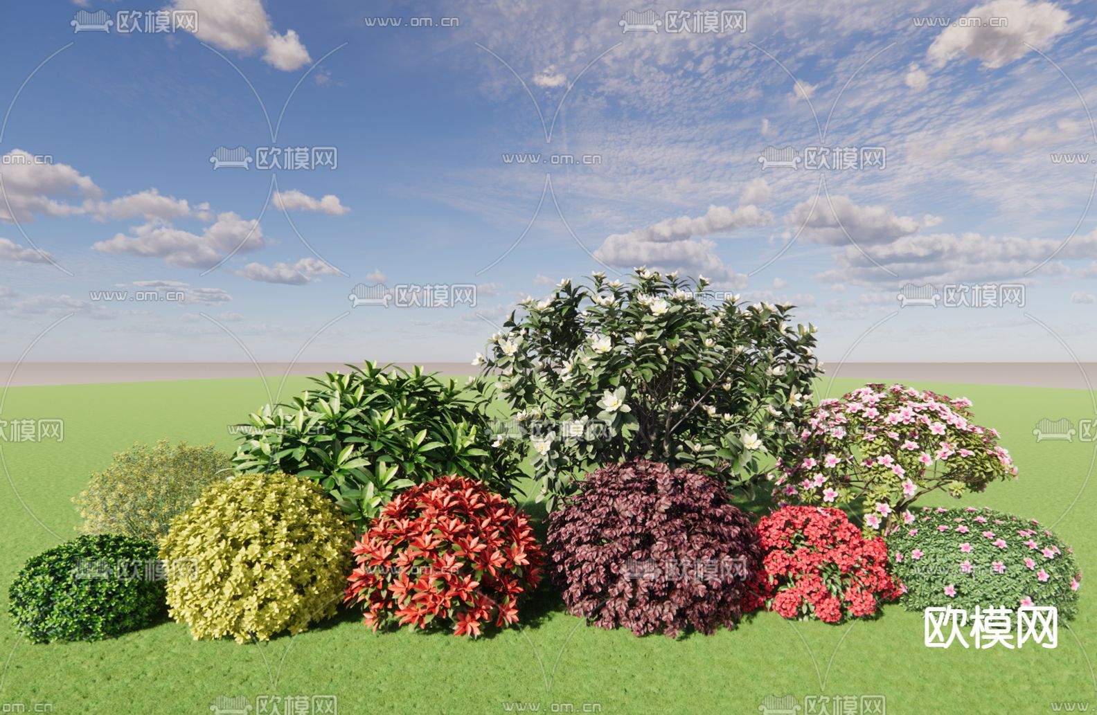 龟甲冬青  女贞 赤楠 杜鹃 灌木球su模型下载（渲染图1）
