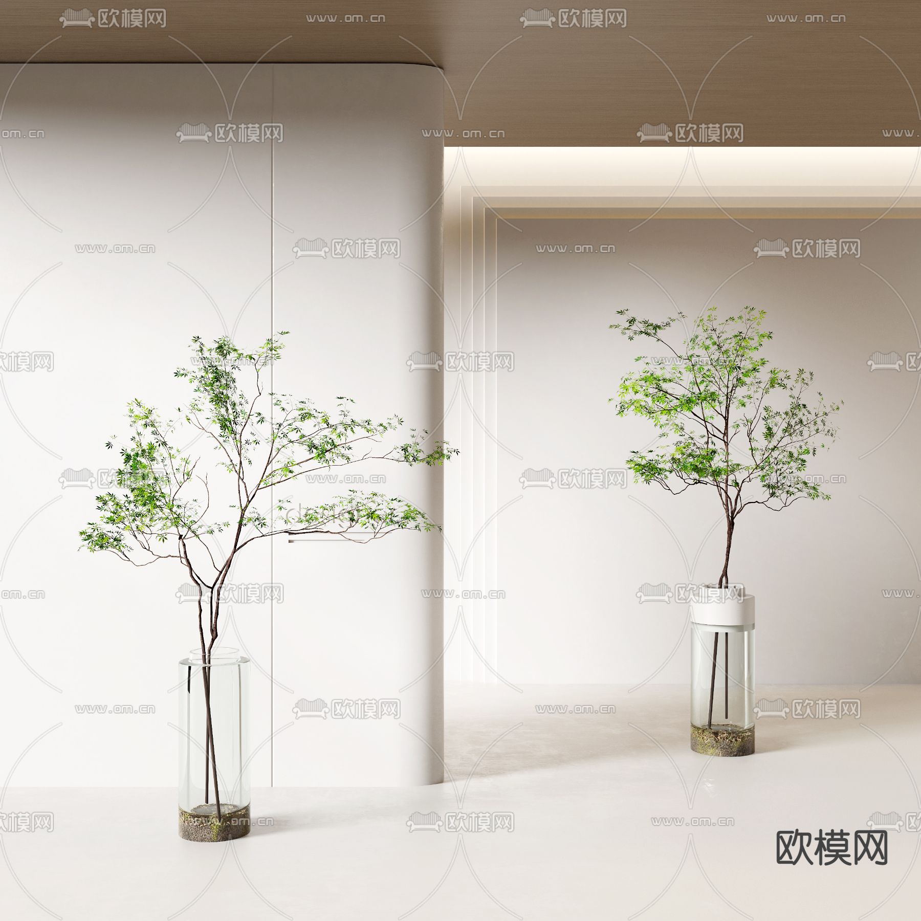 水生植物 水培绿植3d模型