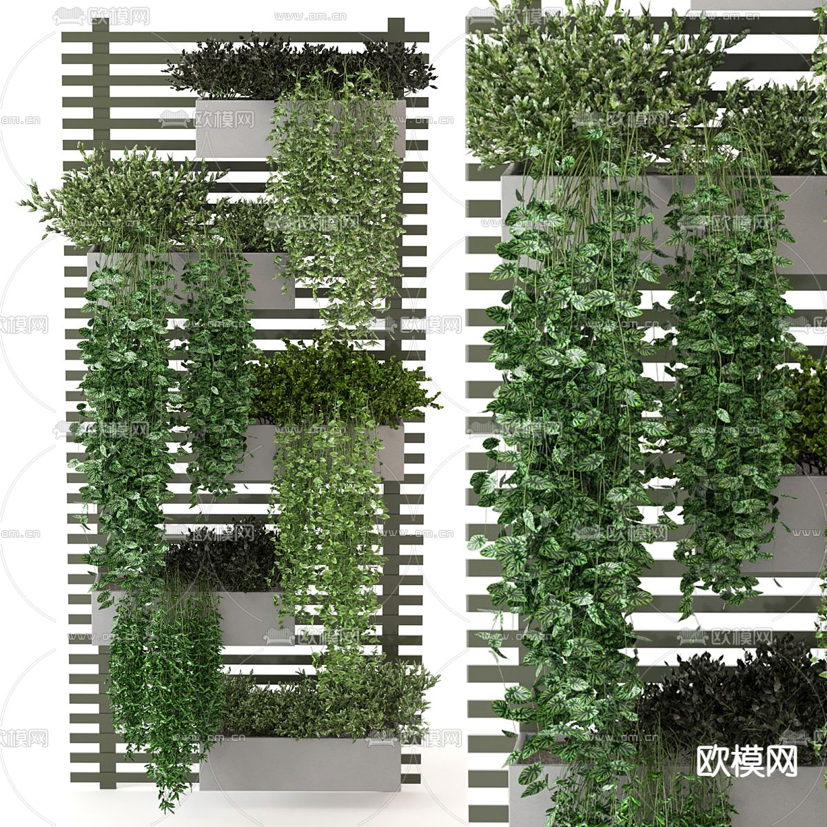 植物架 盆栽 吊篮3d模型下载（渲染图1）
