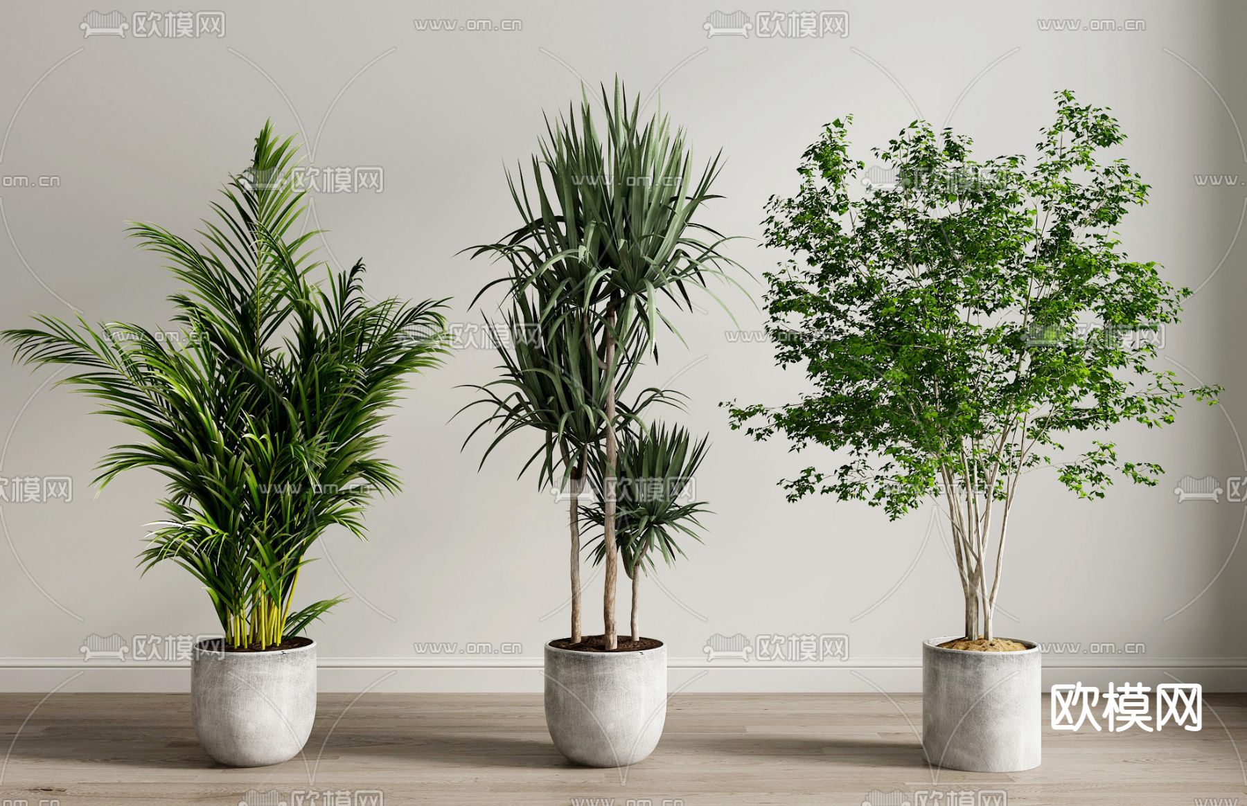 盆栽 盆景su模型
