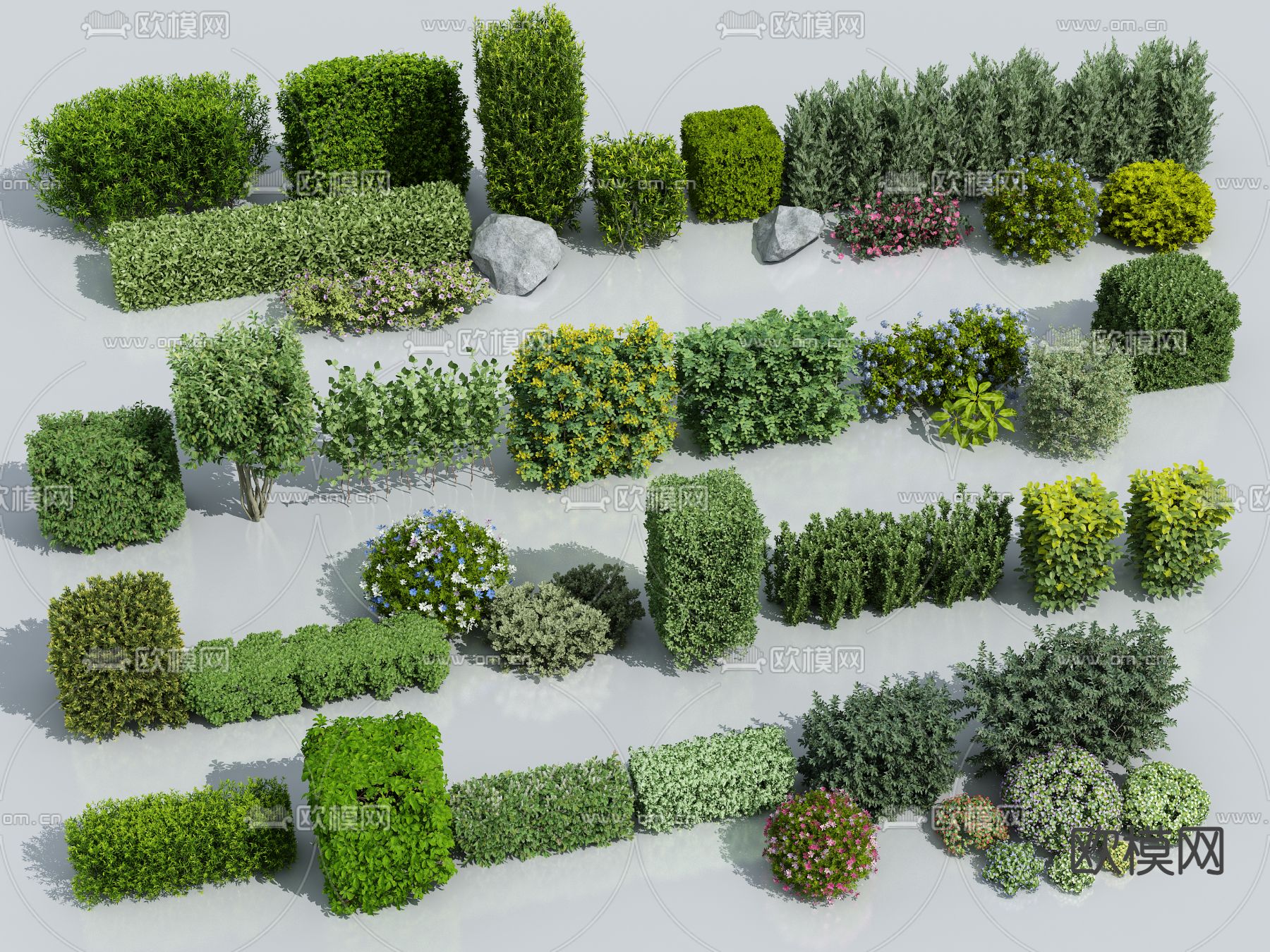 绿篱 造型灌木 花丛3d模型下载