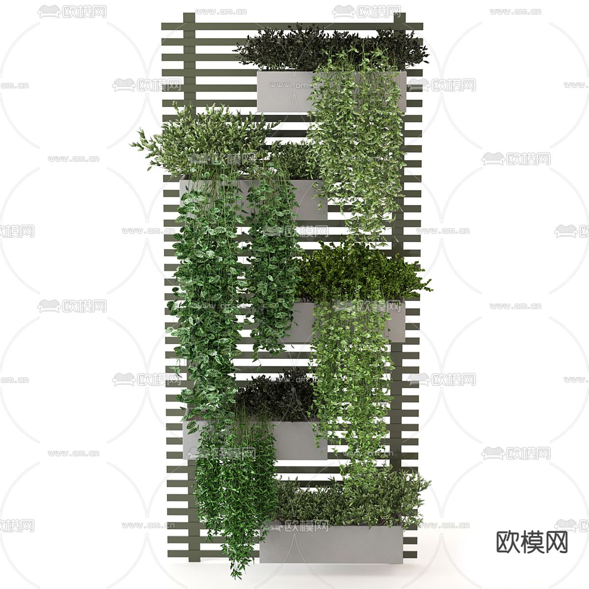 植物架 盆栽 吊篮3d模型下载（渲染图3）