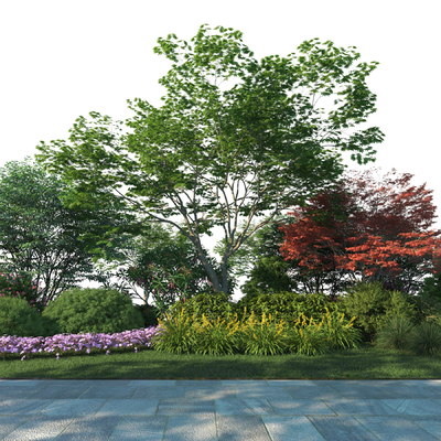  景观树 灌木丛 植物堆su模型 