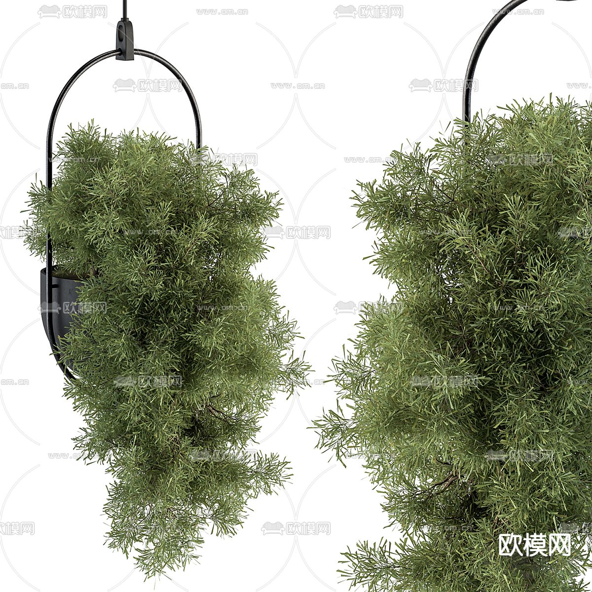 植物吊篮 盆栽3d模型下载