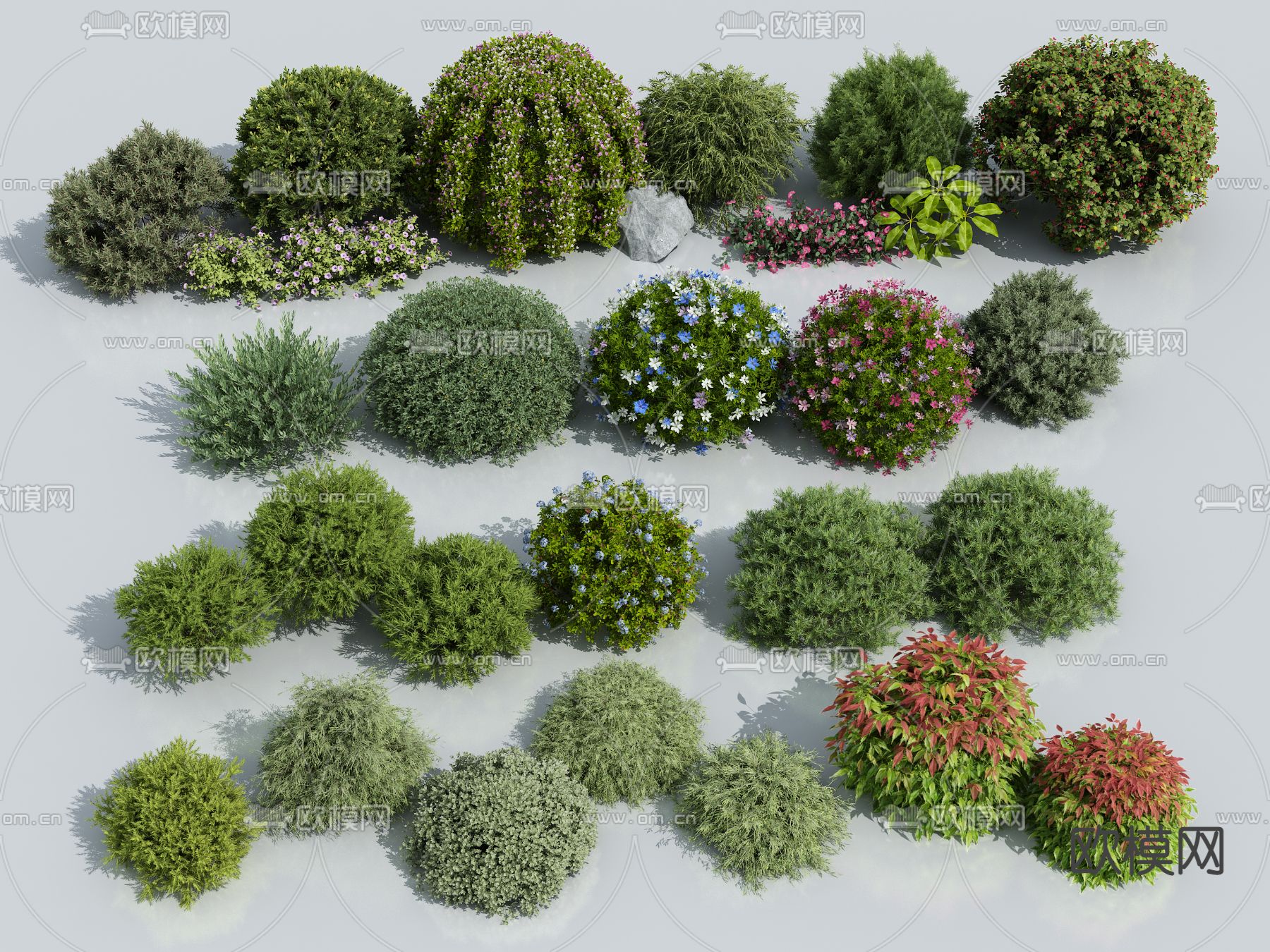 灌木球 灌木丛 花丛3d模型下载_ID14079042_3dmax免费模型-欧模网