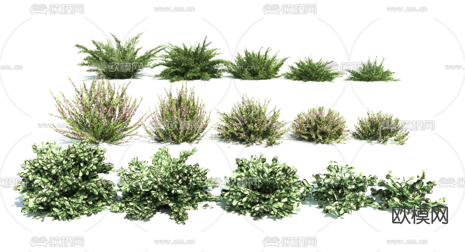 花卉 灌木3d模型下载