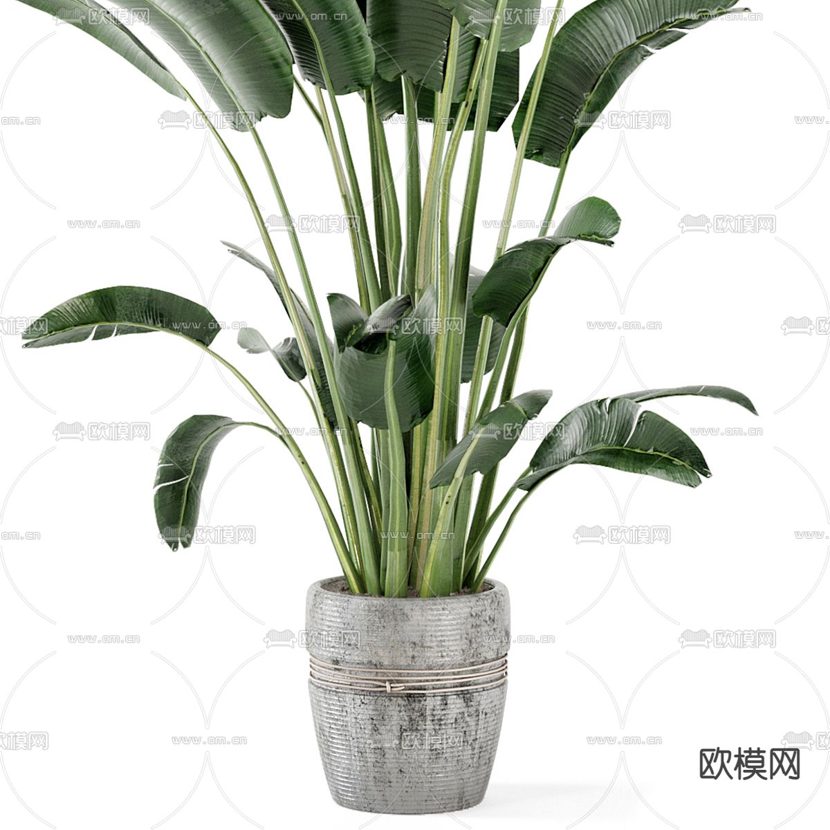 盆栽 盆景3d模型下载（渲染图3）