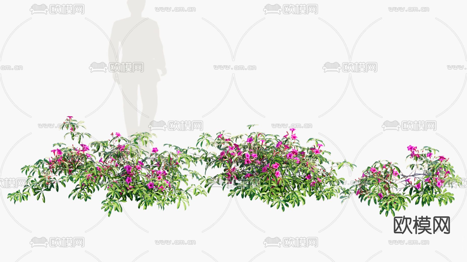 户外藤蔓su模型下载（渲染图2）