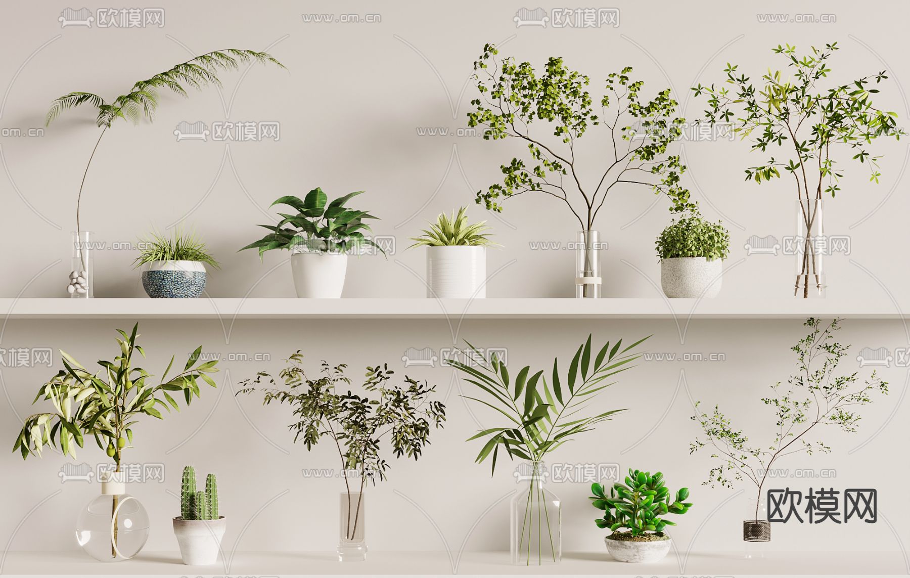 水生植物 小盆栽3d模型下载