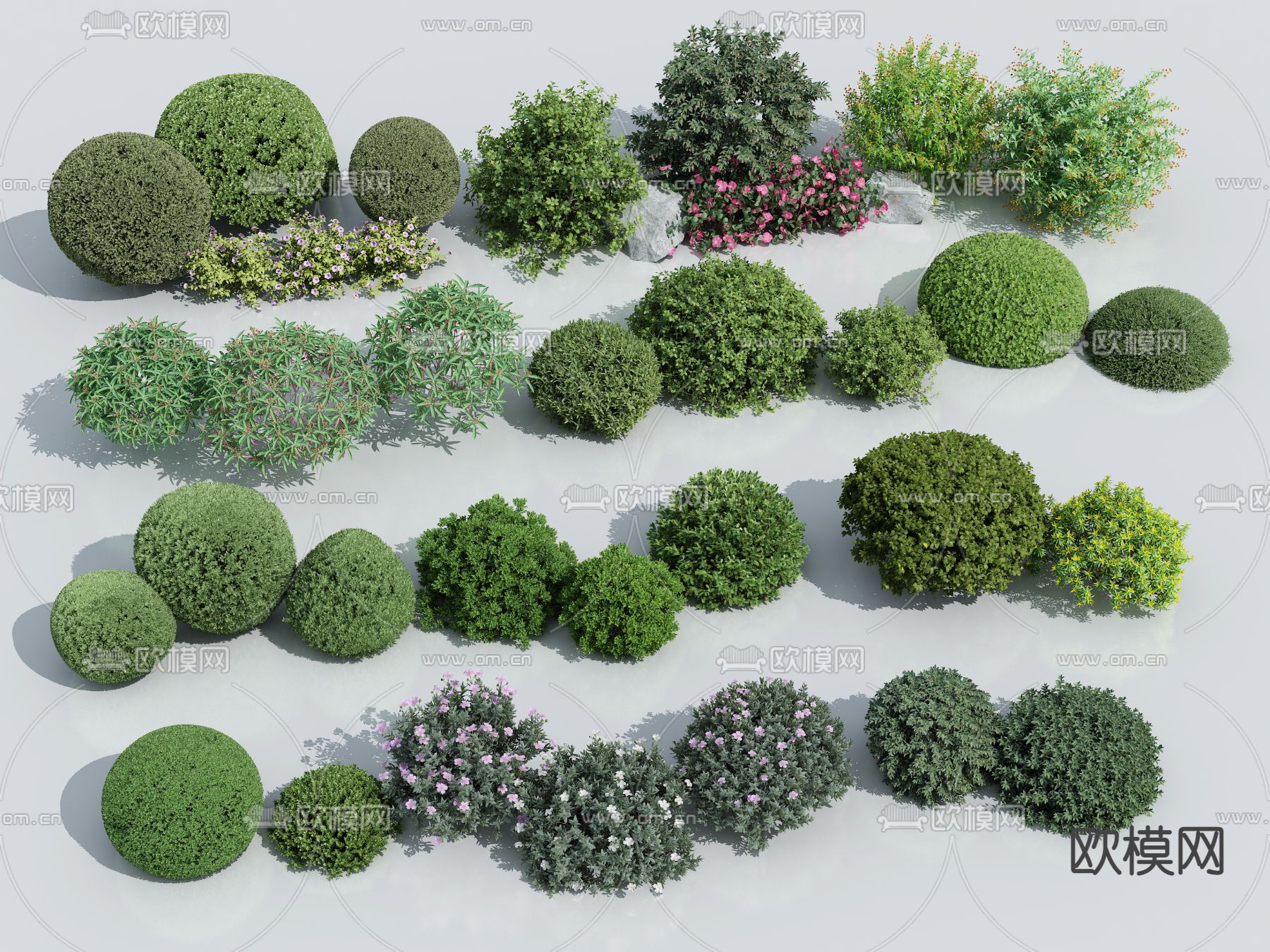 造型灌木 灌木球3d模型下载