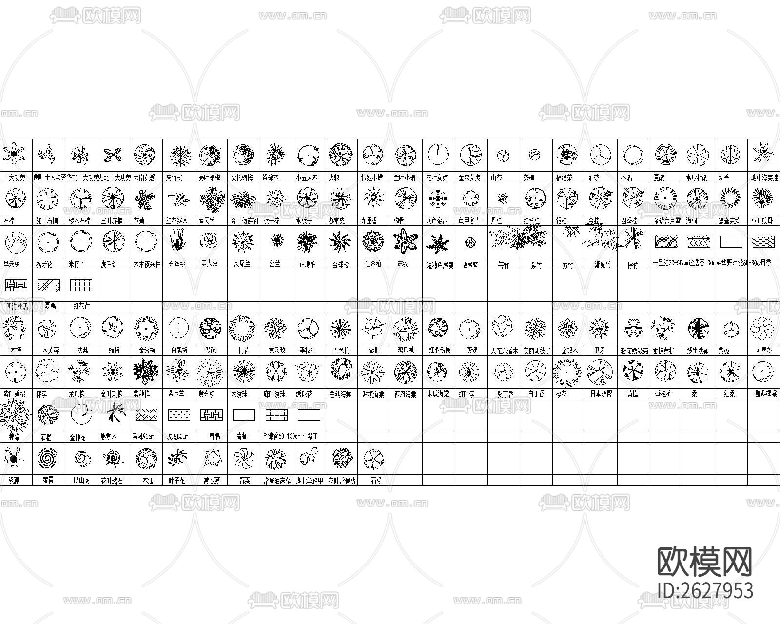 最全植物CAD图库下载（渲染图3）