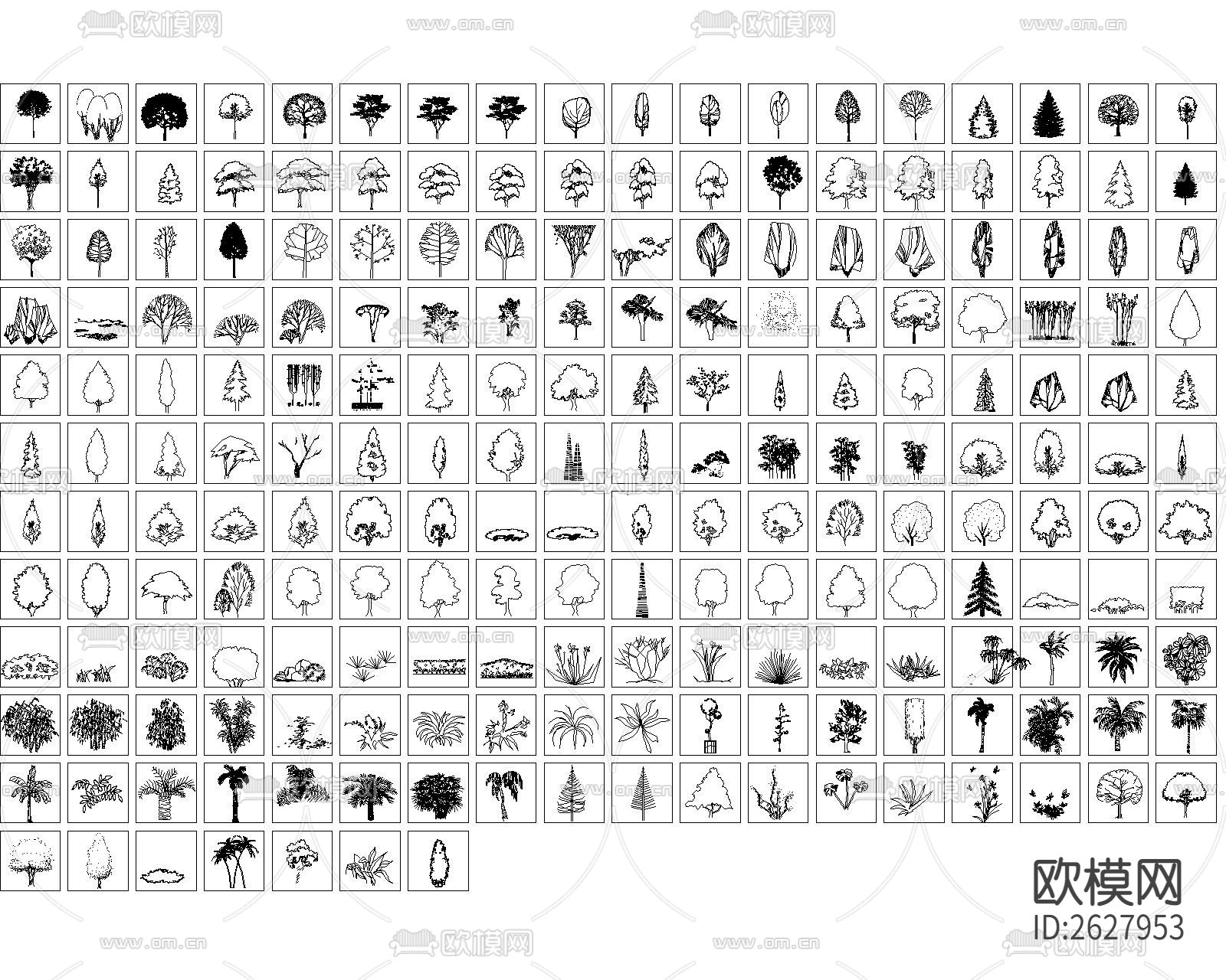 最全植物CAD图库下载（渲染图5）