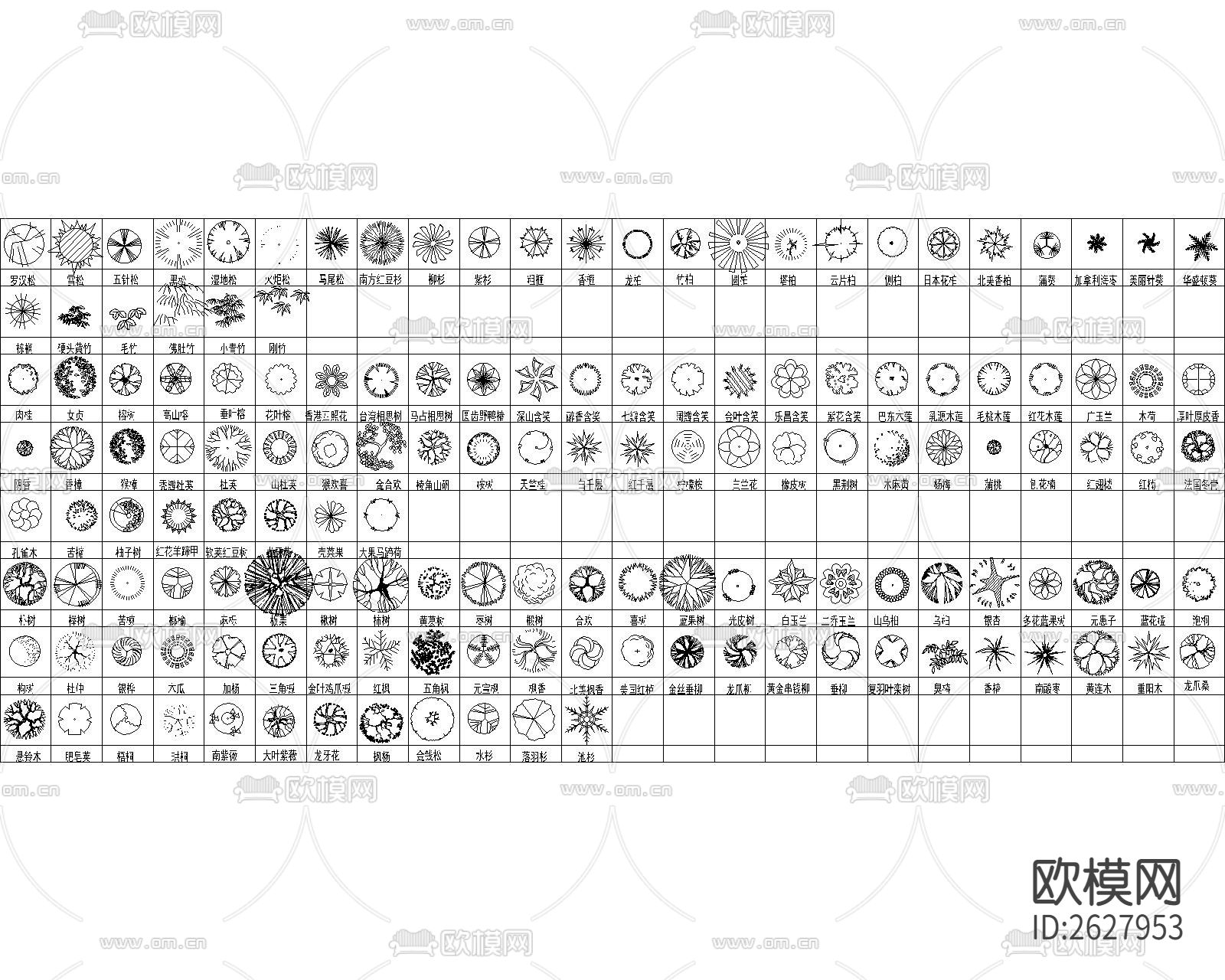 最全植物CAD图库下载（渲染图2）