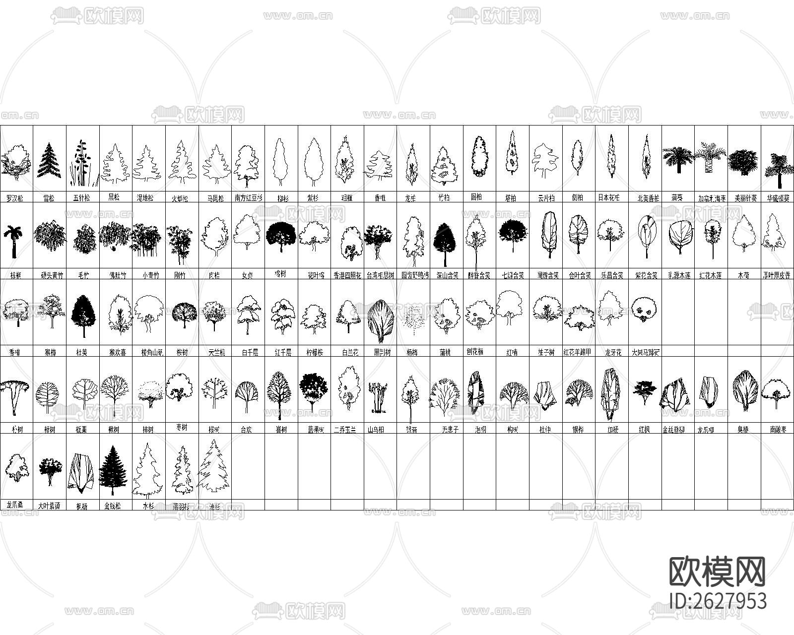 最全植物CAD图库下载（渲染图4）