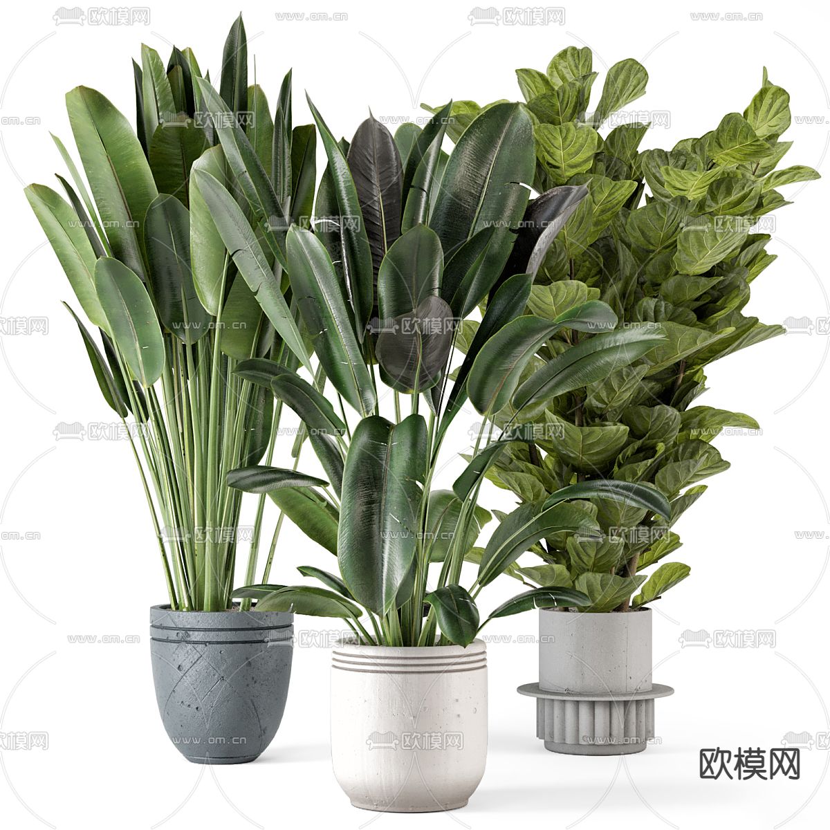 盆栽 盆景3d模型下载_ID14080760_3dmax免费模型-欧模网