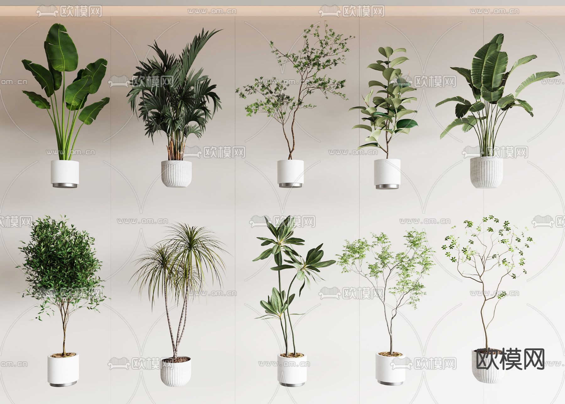 盆栽 盆景3d模型下载