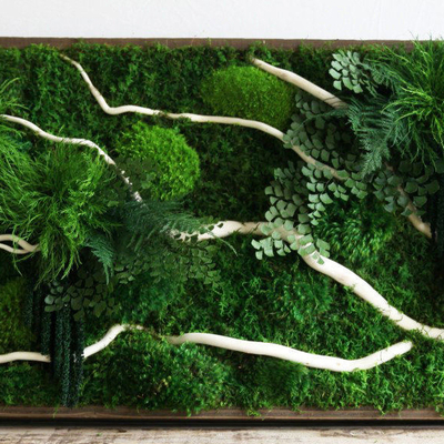  植物墙贴图 