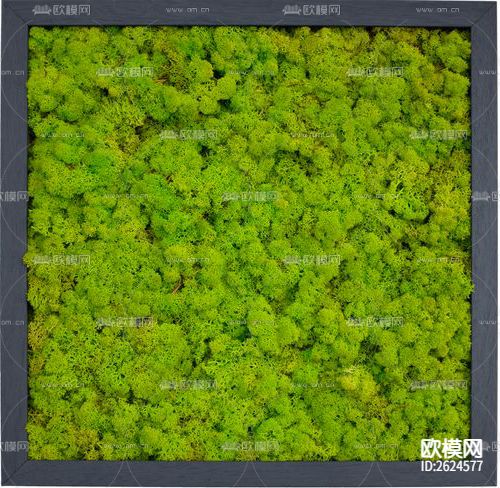 苔藓植物墙贴图下载