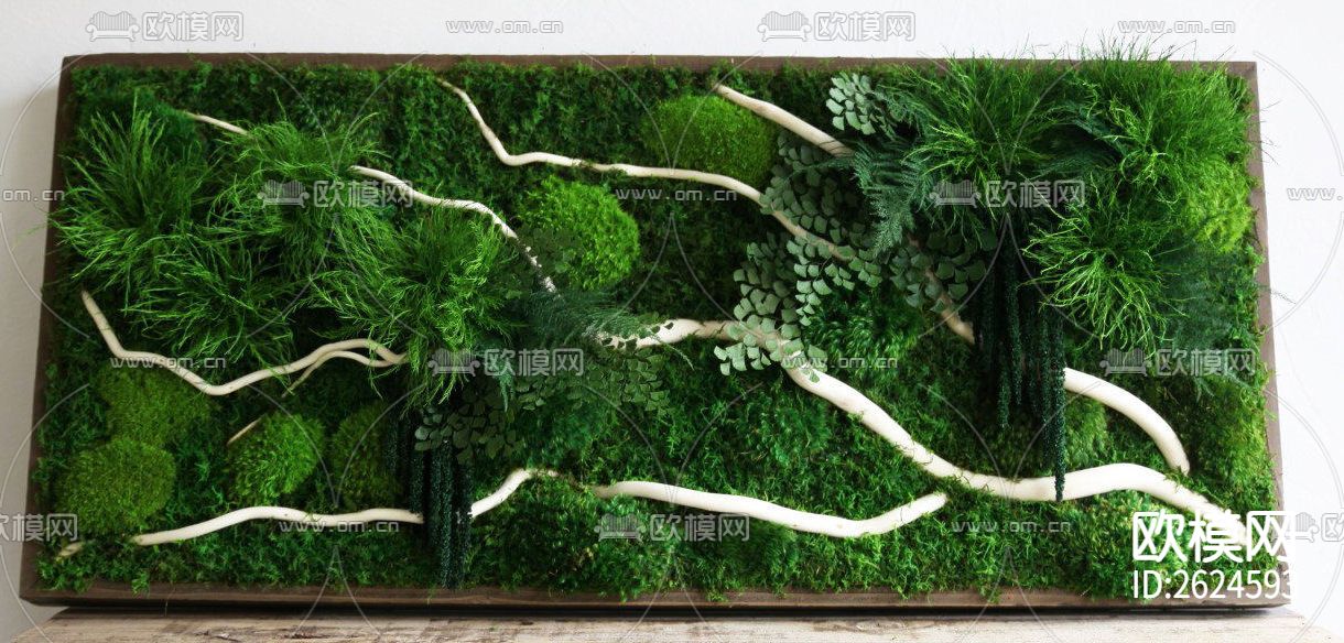 植物墙贴图下载